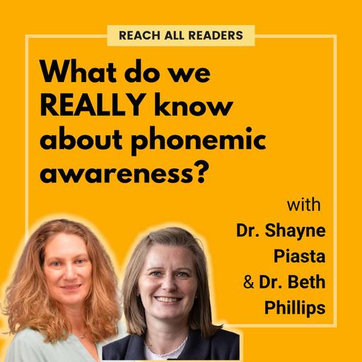 What do we REALLY know about phonemic awareness?