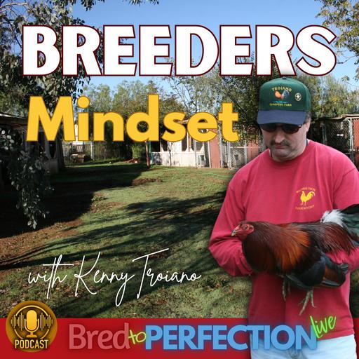 Ep302 – The Mindset of a True Breeder: How Open-Mindedness Builds Better Bloodlines