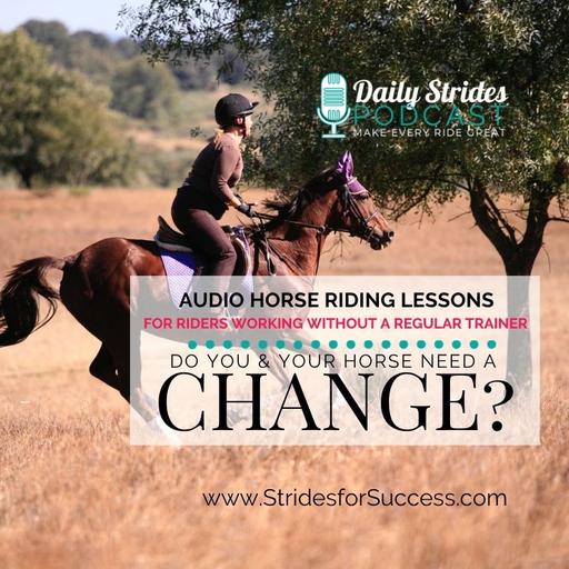 Do You Need a Change With Your Horse?