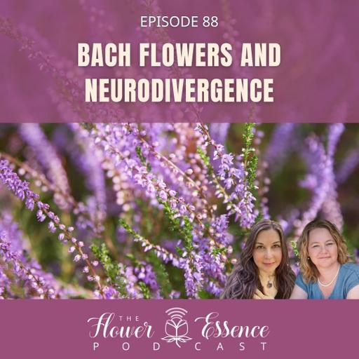 FEP88 Bach Flowers and Neurodivergence