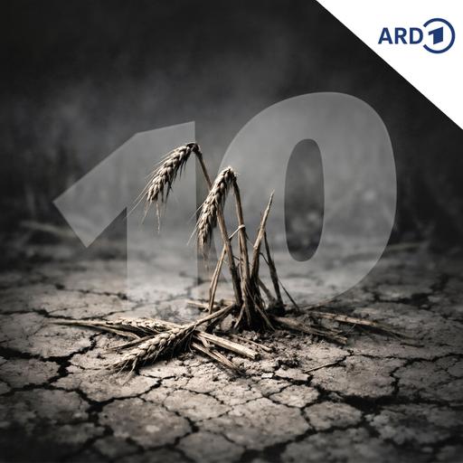 Werden unsere Äcker sterben?