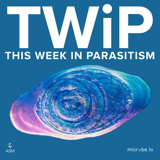 TWiP 287: A Vaccine Against Schistosomiasis? SchistoShield Heads to Phase 2