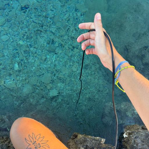 Ionian Sea, Lefkada, Greece on 5th September 2026 – by Tash Walker