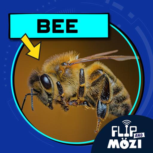 Bee