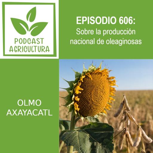 606 Sobre la producción nacional de oleaginosas