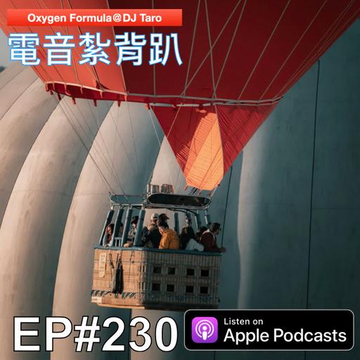 EP230【派對電音】秋入鳴皋，初脫塵勞。掛衣冠、看盡昏朝