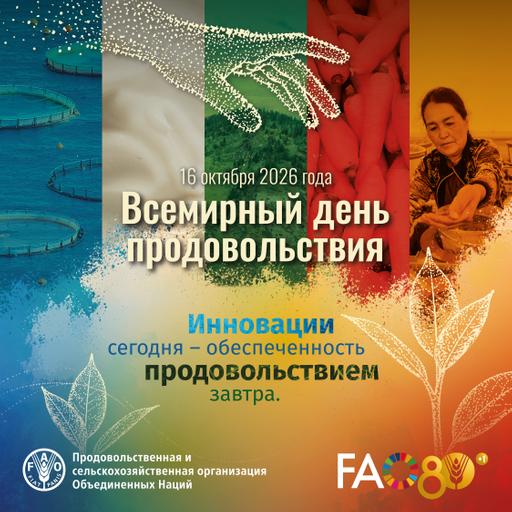 Всемирный день продовольствия 2026 - Объявление общественной службы