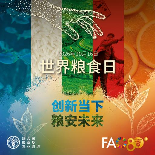 2026世界粮食日公益广告
