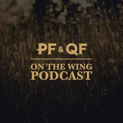 EP. 381: “Gamey” - A Pheasants Forever and Quail Forever Short Essay