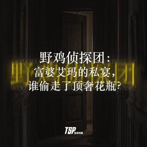 野鸡侦探团：富婆艾玛的私宴，谁偷走了顶奢花瓶？