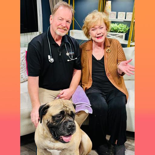 Why do Veterinary Prices Vary?
