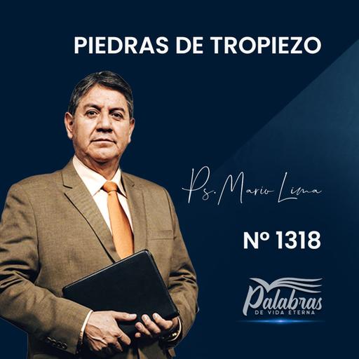 2318 | Piedras de tropiezo | Ptr. Mario Lima