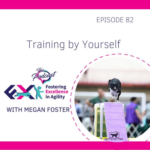 Training By Yourself