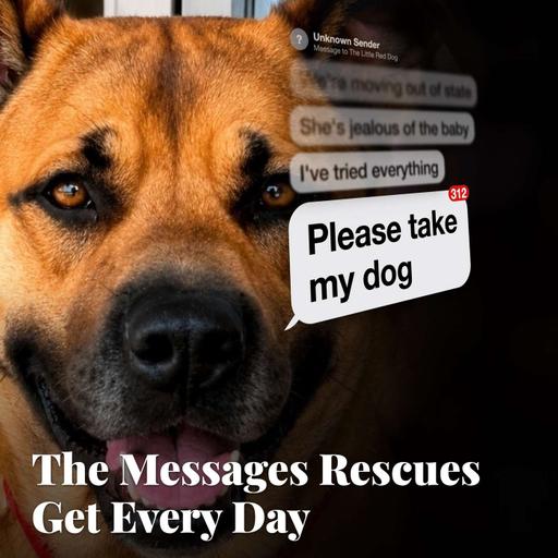 The Messages Rescues Get Every Day