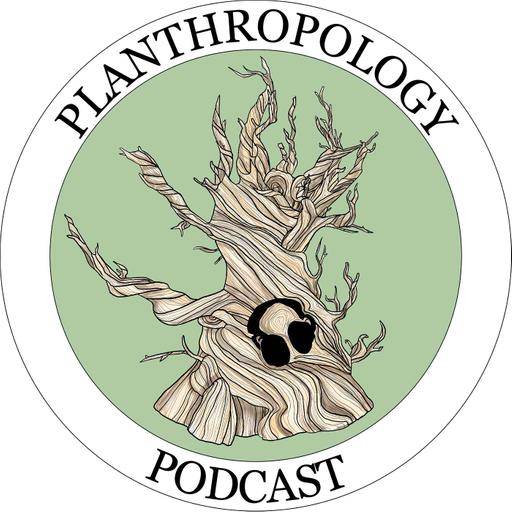 131. New Starts, Tips for Being Human, and Advice from the Internet