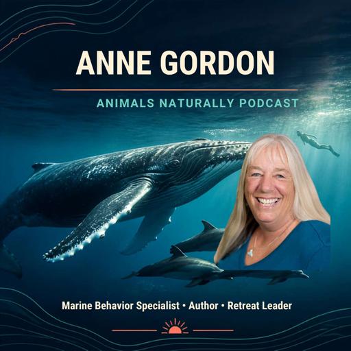 Whale & Dolphin Wisdom: Lessons From the Wild