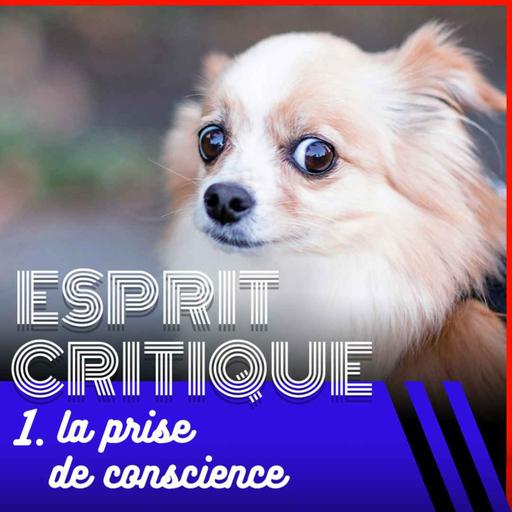 L’esprit critique, ça s’apprend ? 1/4, avec Christophe Adourian — SHOCKING #32