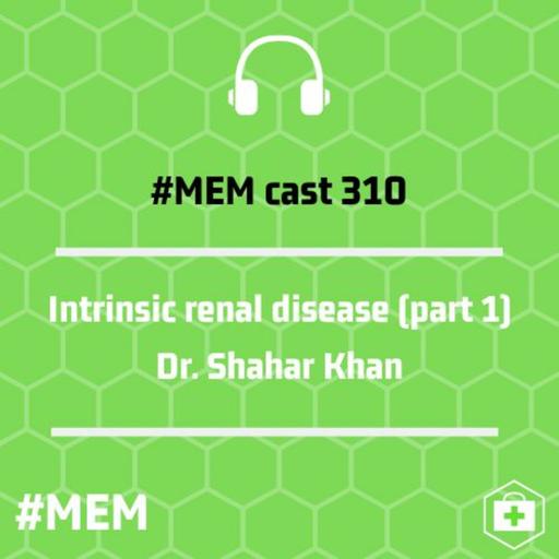 Episode 314: Intrinsic renal disease part 1