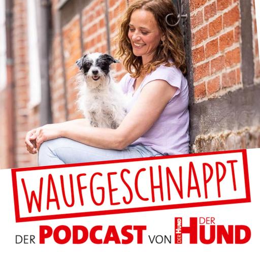 Bus- & Bahnfahren mit Hund - Kate Kitchenham