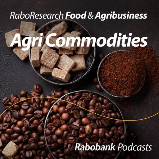 El Niño drives prices more than fundamentals