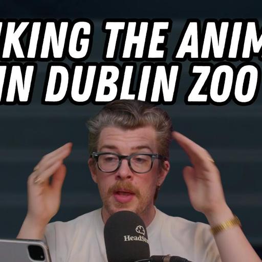 I Ranked Every Dublin Zoo Animal (D Tier to S Tier)