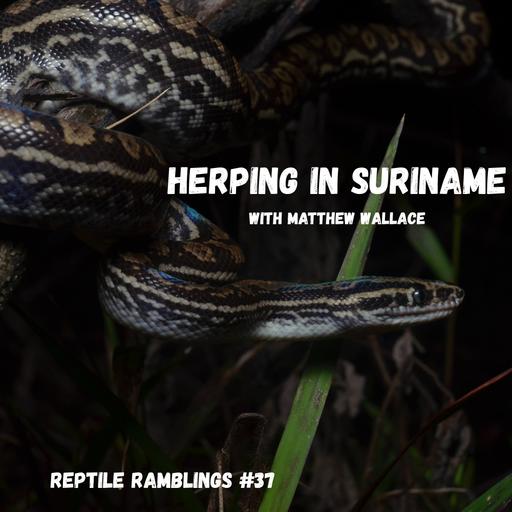 Herping in Suriname with Matthew Wallace | Reptile Ramblings #37