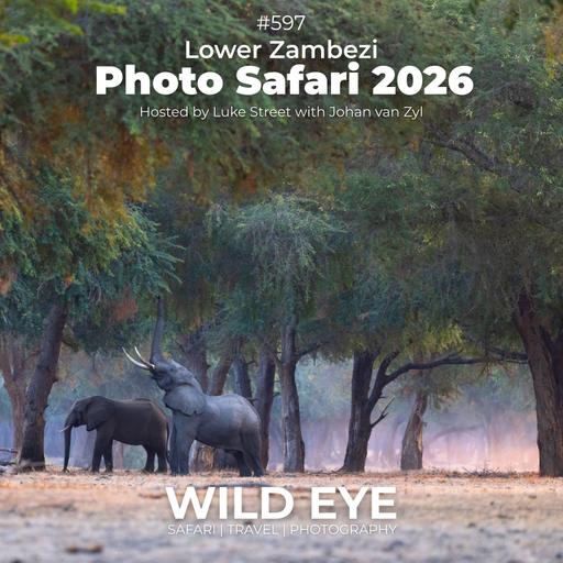 #597 - Lower Zambezi Photo Safari 2026