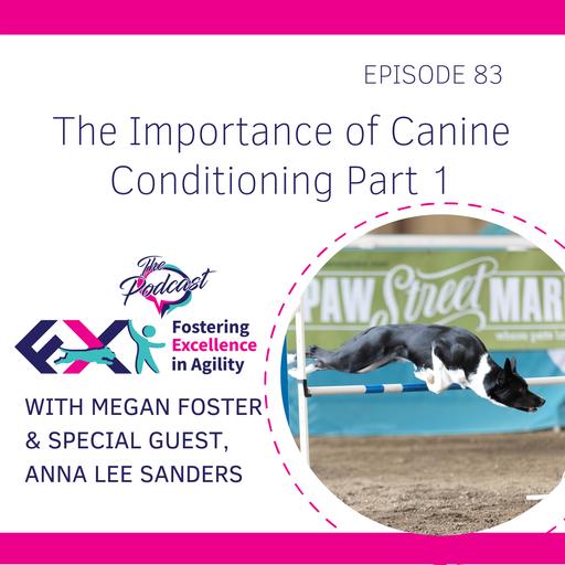 The Importance of Canine Conditioning, Part 1, with Anna Lee Sanders
