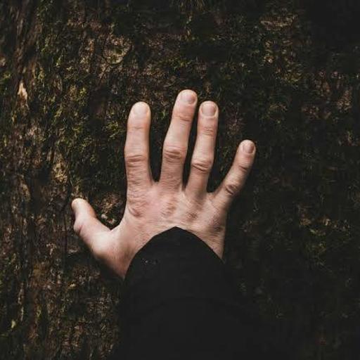 Go Touch a Tree: Why Reconnecting With Nature Matters | Shaz Audibert