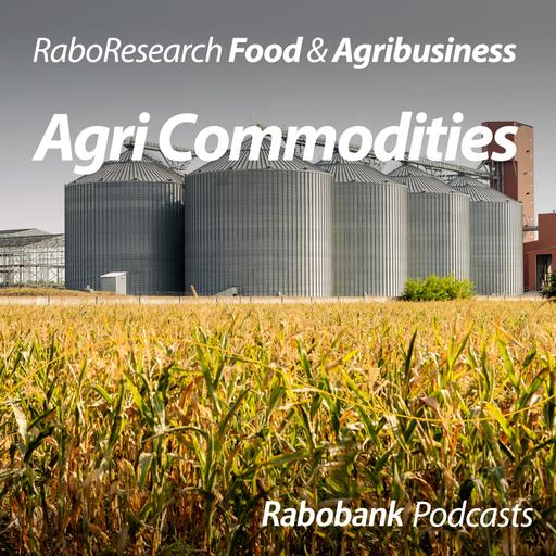 September 2026 WASDE signals: Black Sea risks, Chinese demand, and tighter corn stocks
