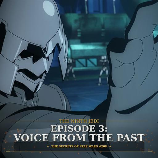 The Ninth Jedi, Episode 3: Voice from the Past