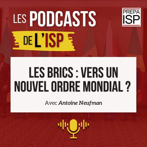 Les BRICS : vers un nouvel ordre mondial ?