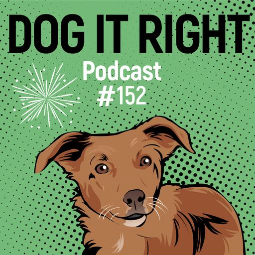 #152: Garantiert: Silvester wird schrecklich für deinen Hund, wenn er auch Probleme mit anderen Hunden hat