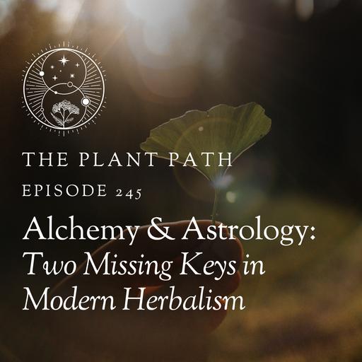 Alchemy & Astrology: Two Missing Keys in Modern Herbalism