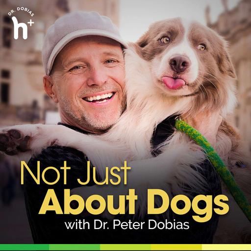 Episode 80: The Power of Hope in Veterinary Medicine with Dr. Kristi Wilson