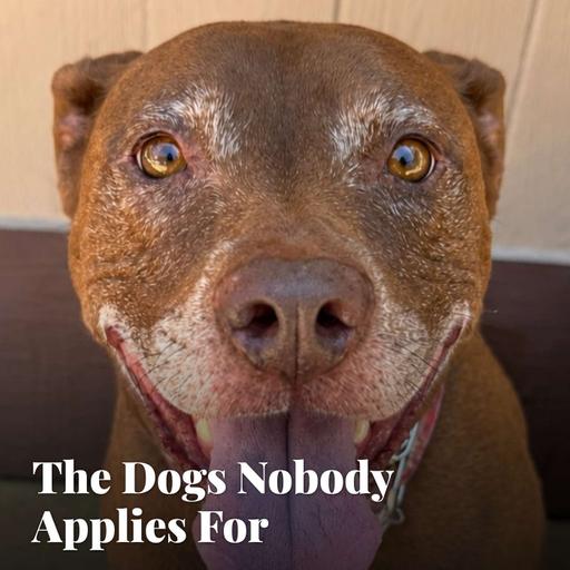 The Dogs Nobody Applies For
