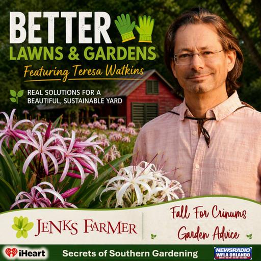 S2 Ep479: Better Lawns and Gardens - Hour 2 Fall for Crinums September 19, 2026