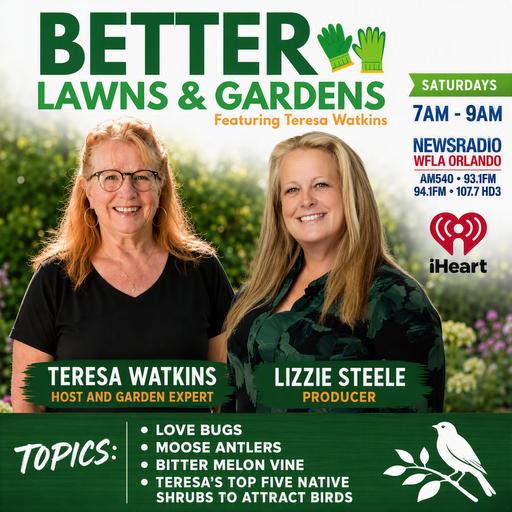 S2 Ep479: Better Lawns and Gardens - Hour 1 Fall Wings and Wild Things September 19, 2026