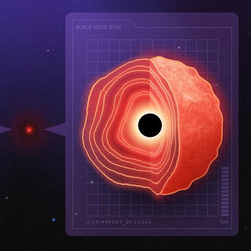Are the Little Red Dots Actually Black Hole Suns?