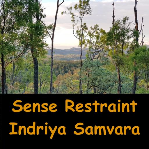 Sense Restraint | Self Control | Indriya Samvara | AN Eights #9 'Nanda Sutta'| Ajahn Dhammasiha