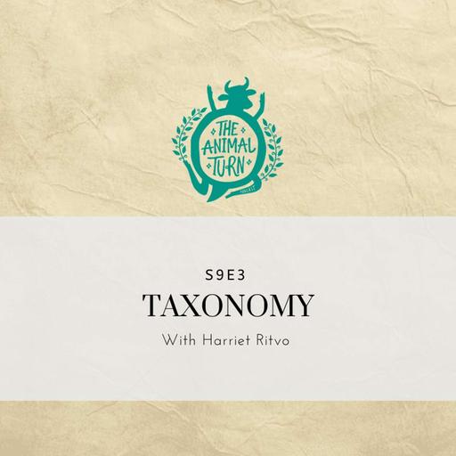 S9E3: Taxonomies with Harriet Ritvo
