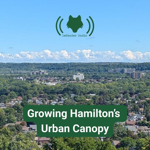 Growing Hamilton's Urban Canopy