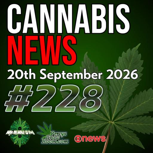 Britain’s Cannabis Law "Nobody Seems to Enforce", Cannabis Farms in Empty Shops, UK Medical Cannabis Review, New US Seed Law & Teen Cannabis Research | Cannabis News #228