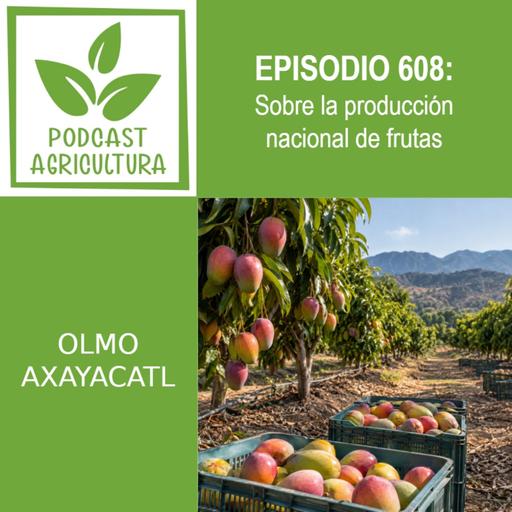 608 Sobre la producción nacional de frutas