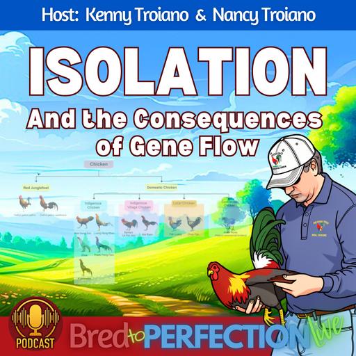 Ep304 - Isolation and the Consequences of Gene Flow