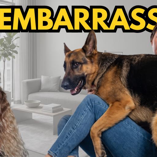 Dog Humping: What it Actually Means when a Dog Humps (science explained)