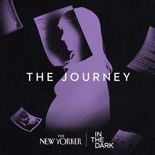 Introducing: "The Journey," from In The Dark
