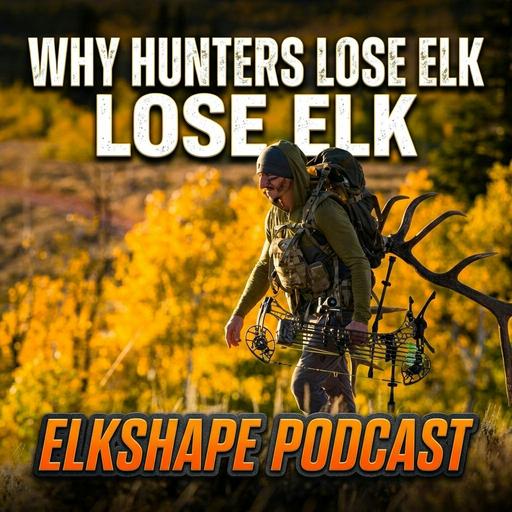 The Data Behind Lost Elk: Broadheads, Shot Placement, Arrow Weight & More