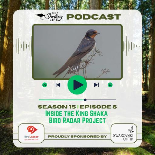 TBL Podcast - Season 15 Episode 6 - Inside the King Shaka Bird Radar Project