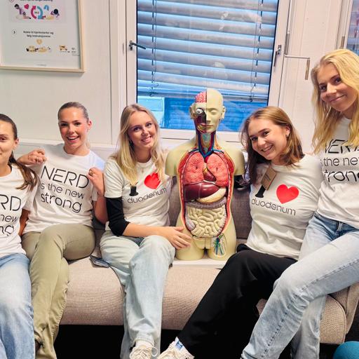 De fem viktigste temaene fra nervesystemet